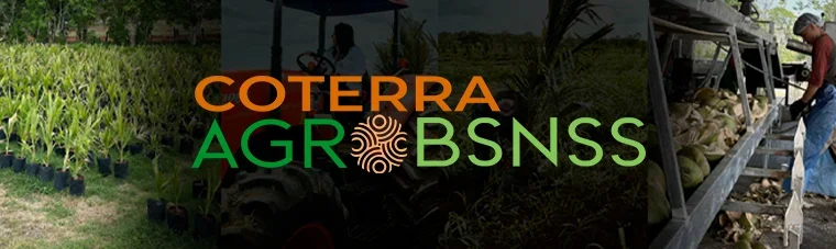 Fachada de COTERRA